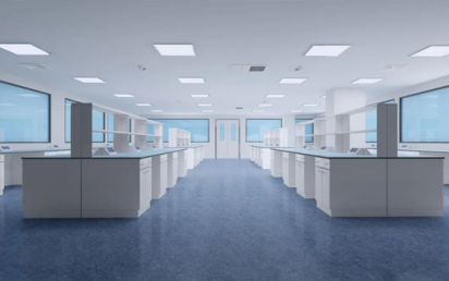 ʵ�������������������Щ������