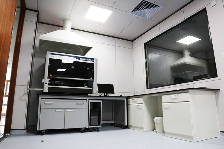 ������͸����