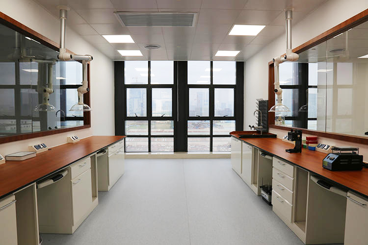 ��ש�벣������