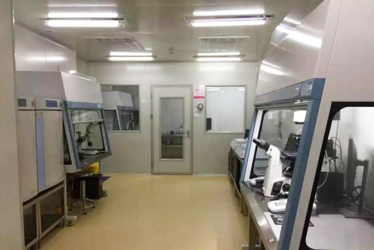 ��ֳҽѧʵ���ҽ���