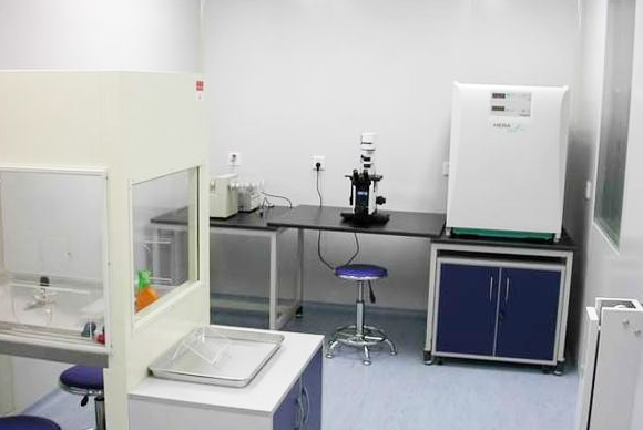 �����徲ʵ����