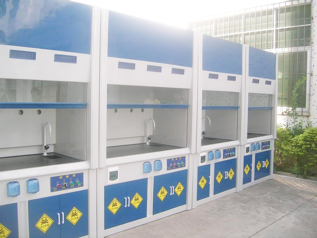 ������͸���