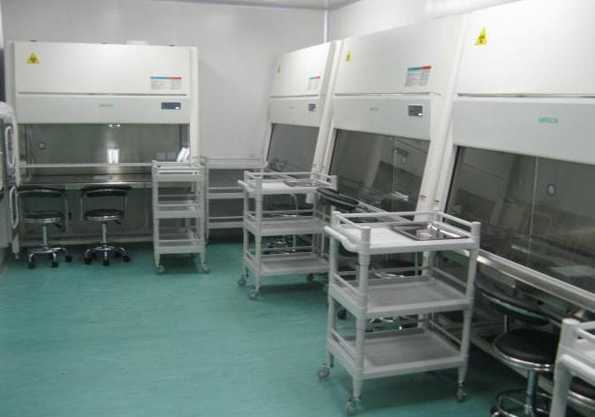 �����徲��