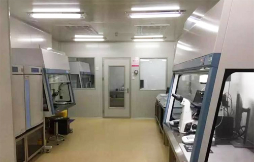 ��ֳҽѧʵ���ҽ���