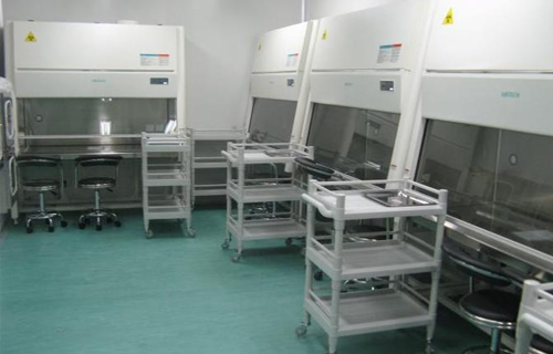 �����徲�����