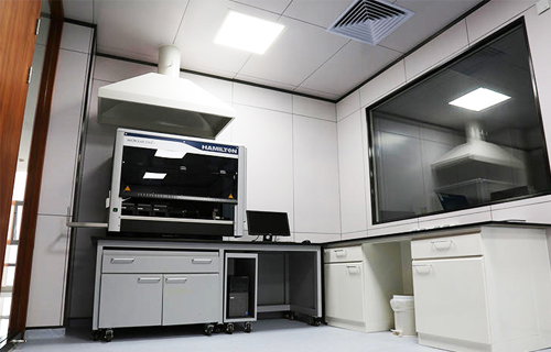 ������͸����