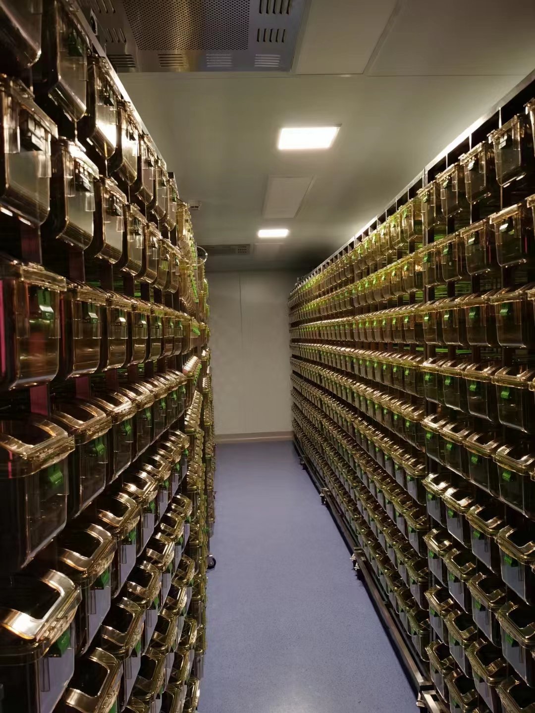 �½�(�й���)���޹�˾����